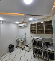 Intensive Care Unit