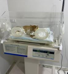 Intensive Care Unit