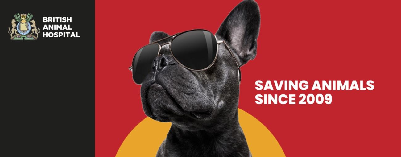 British Animal Hospital